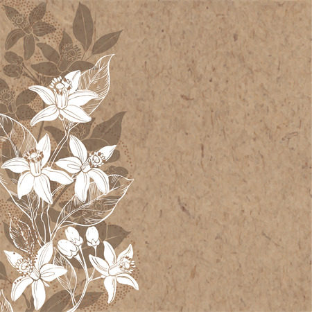 Floral background with hand-drawn branches of flowers neroli. Vector illustration on a kraft paper with place for text. Invitation, greeting card or an element for your design.のイラスト素材