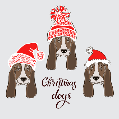 Basset Hound. Vector set of dog's face in Santa's hat. Three hand-drawn isolated elements on a gray background. Dog - animal symbol of new year.のイラスト素材