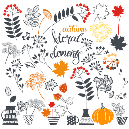 Hand-drawn autumn floral elements. Isolated vector objects on white background.のイラスト素材