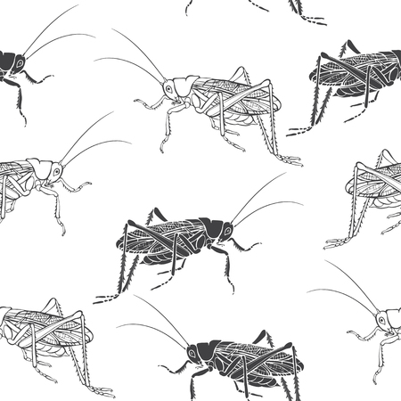 Seamless black and white pattern with grasshoppers. Vector illustration. Contours and silhouettes of insects on a white background.のイラスト素材