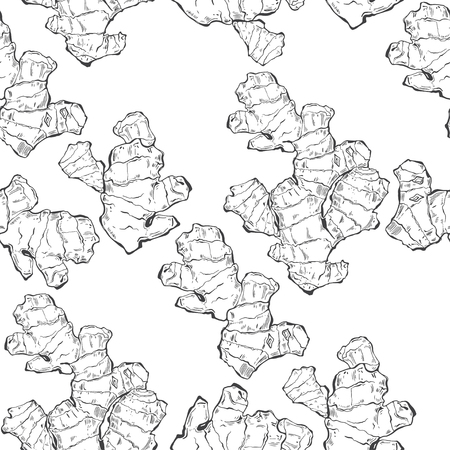Ginger. Seamless vector pattern on white background. Contour drawing, sketch.のイラスト素材
