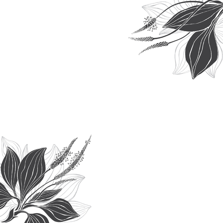 Floral background with plantain on a white background. Corner vector composition with place for text. Greeting card, invitation or isolated elements for design.のイラスト素材