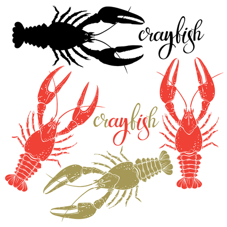 Crayfish.Silhouette.Hand drawn vector illustration, isolated elements for design on white background.のイラスト素材