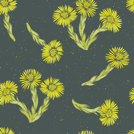 Coltsfoot. Seamless pattern with hand-drawn flowers on a dark gray background. Vector illustration.のイラスト素材