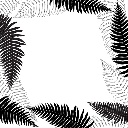 Floral background with ferns and place for text. Black and white vector frame. Square. It can be an invitation, a greeting card or an element of your design.のイラスト素材