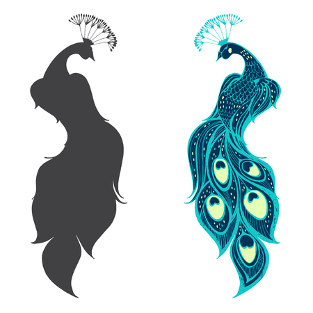 Peacocks Vector illustration, two variants. Isolated elements on white background.のイラスト素材