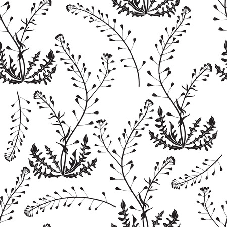 Seamless pattern with shepherd's purse. Black and white vector illustration. Silhouette drawing on a white background.のイラスト素材