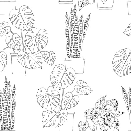 Seamless pattern with houseplants in pots on white background. Sansevieria, Monstera, Scindapsus aureus Eagler.のイラスト素材