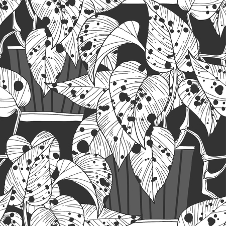 Seamless pattern with Scindapsus aureus in pots on black background.のイラスト素材