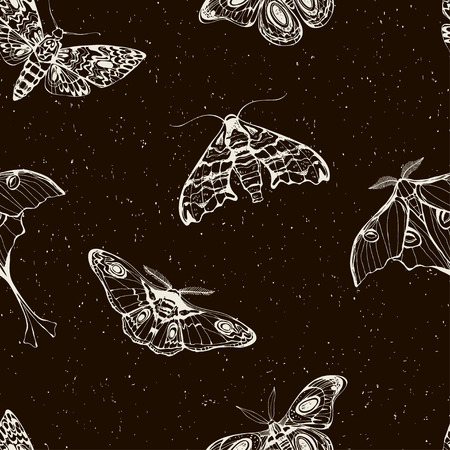 Night butterfly background. Vector illustration.のイラスト素材