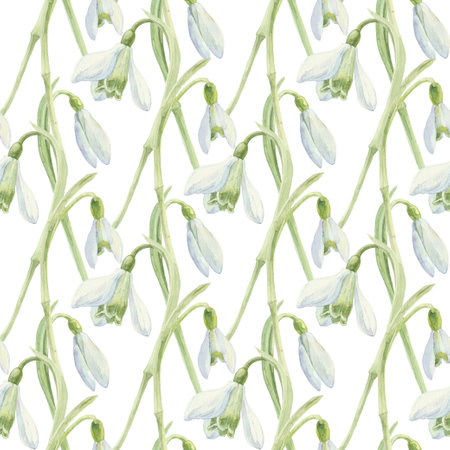 Snowdrops. Hand-drawn watercolor illustration.の写真素材