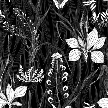 Wildherbs. Nature background.Black and white. Outline and silhouette drawing on black  background.のイラスト素材