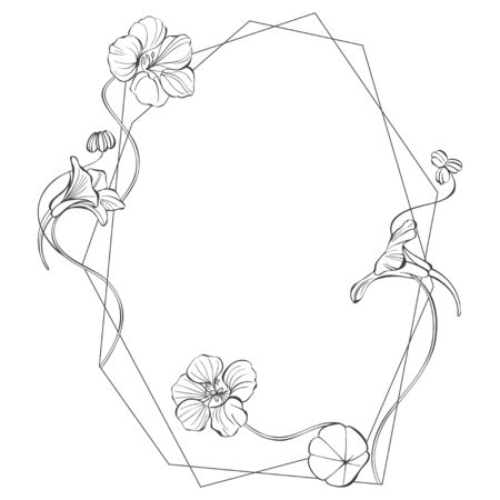 Vector illustration with nasturtium, design element on white. Invitation, greeting card.のイラスト素材