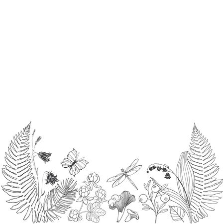 Vector illustration with wildflowers and forest  herbs, design element on white. Invitation, greeting card.のイラスト素材