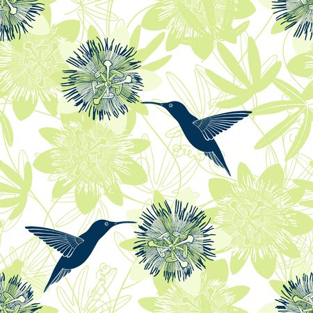Passionflower and hummingbirds. Floral background. Vector illustration. のイラスト素材