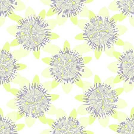 Passionflower. Floral background. Vector illustration.のイラスト素材