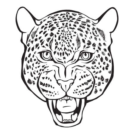 Leopard face on white. Can be an element your design.のイラスト素材