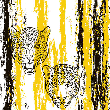 Leopard faces and texture stripes on white. Animal art background. Vector.のイラスト素材