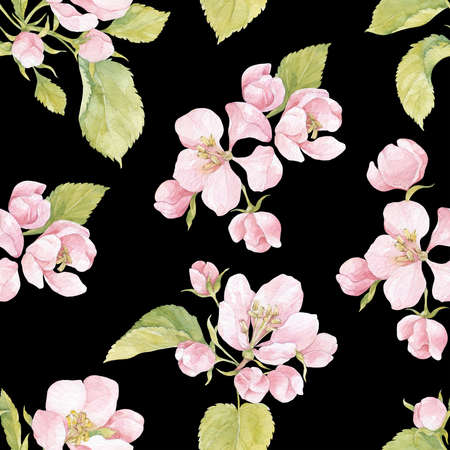 Flowering branches of apple trees. Watercolor. Nature background. Hand-drawn spring illustration.の写真素材
