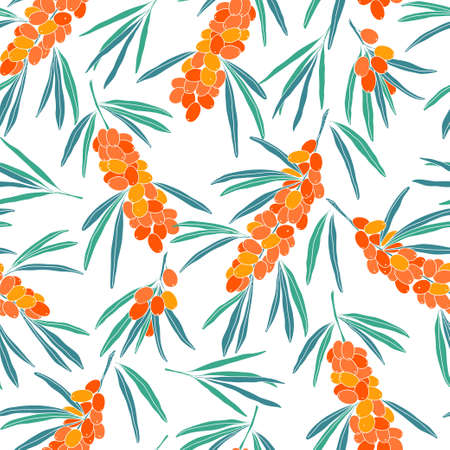 Sea buckthorn. Floral abstract background. Vector illustration.のイラスト素材