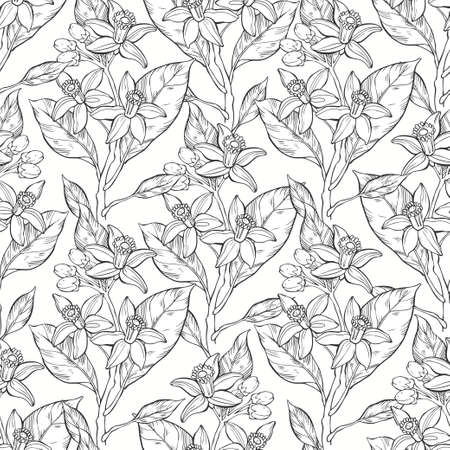 Orange blossom on white. Seamless vector pattern.のイラスト素材