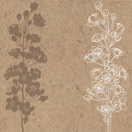 Flowering branch of an apricot tree. floral background. Vector illustration with space for text.のイラスト素材