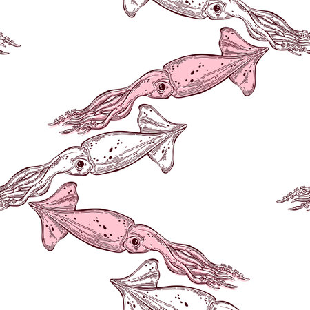 Vector squid background.のイラスト素材