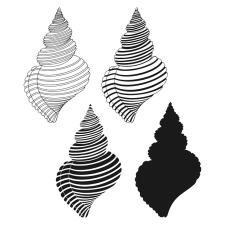 Set of vector seashells illustrations. Vector set for decoration. 4 different options.のイラスト素材