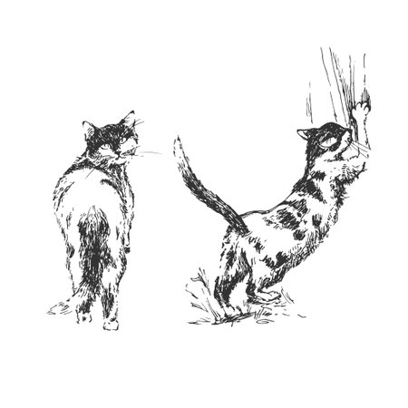 Two cats. Hand drawn sketch. Vector illustration isolated on white.のイラスト素材