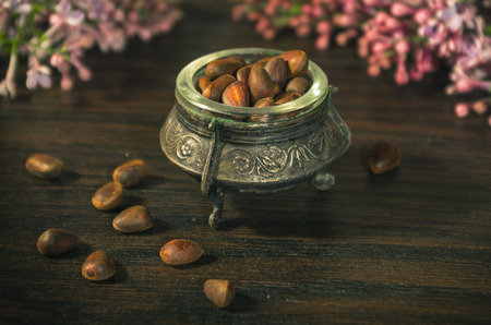 pine (cedar) nuts in an ancient bowl