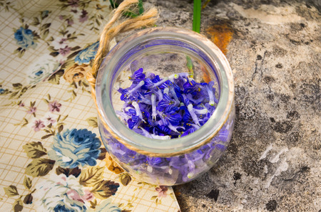 blue flowers in a glass jarの写真素材