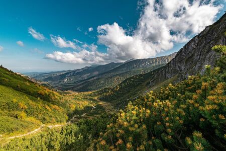 Autumn in Western Tatras, Poland. Wide angle shot.の写真素材