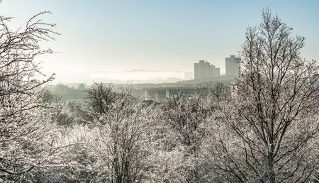 Glasgow Southside buildings on a frosty and misty winter morning in Queen's Park, Glasgow, Scotlandの写真素材