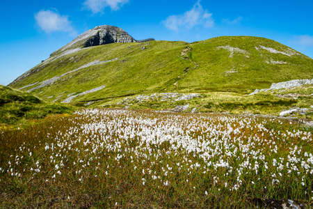 Beautiful Scottish mountain landscape. Mamores Ridge in Scottish Highlands.の写真素材
