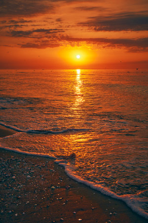 sunrise by the sea in summer 2の写真素材