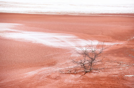 pollution with tailings from the alumina plant in Tulcea, Romaniaの写真素材
