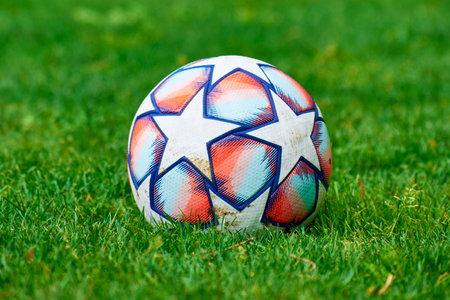 soccer ball on the lawn 1の写真素材