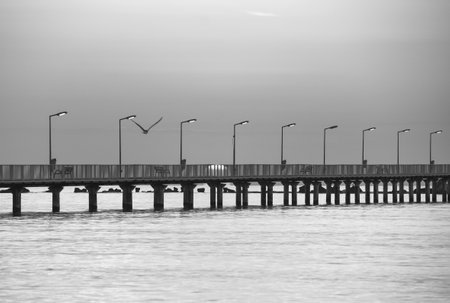 sunrise with pontoon in summer at seaの写真素材