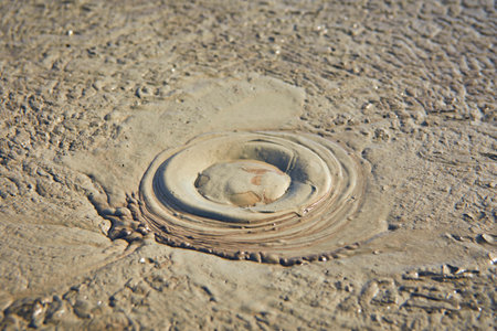 cones of mud volcanoes from which rivers of mud flowの写真素材