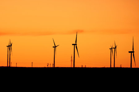 wind turbines at sunset in Dobrogeaの写真素材