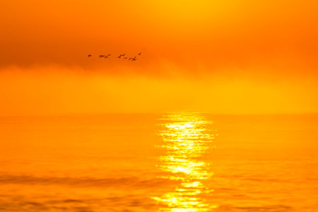 sunrise with fog at seaの写真素材