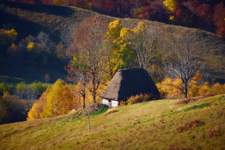 house on the hills in the Apuseni Mountainsの写真素材