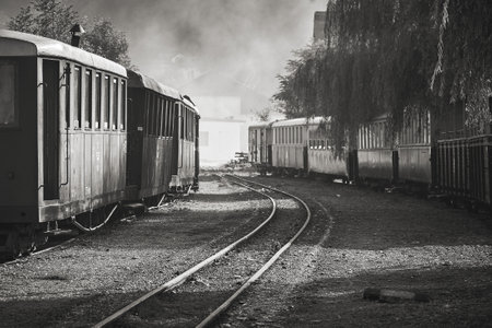 old narrow gauge trains in Maramures on the Vaserului Valleyの写真素材