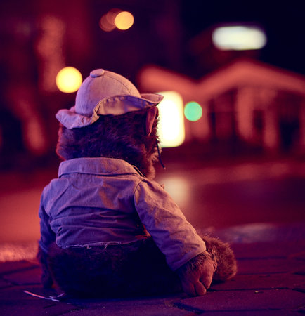 teddy bear admiring the warm Christmas lightの写真素材
