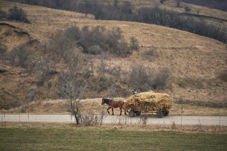 hay wagon drawn by a horseの写真素材