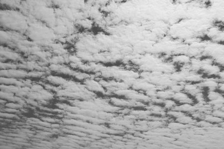 altocumulus stratiformis translucidus cloudsの写真素材