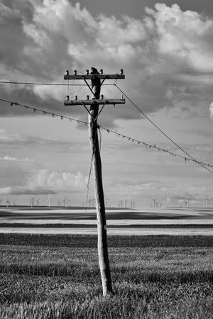Wooden telephone pole isolated on backgroundの写真素材