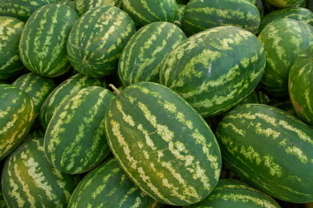 Fresh watermelons at the fruit and vegetable marketの写真素材