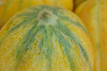 Fresh melons on the market in Romania 9の写真素材
