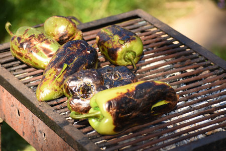 Fresh peppers from the garden roasted on the grillの写真素材